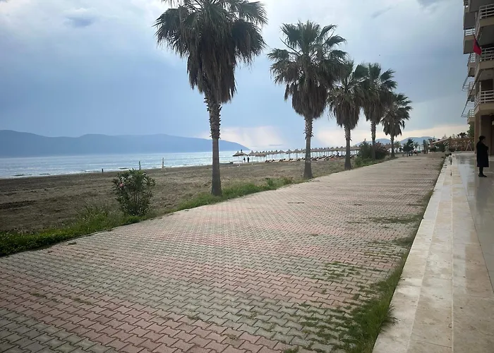 View * Wlora